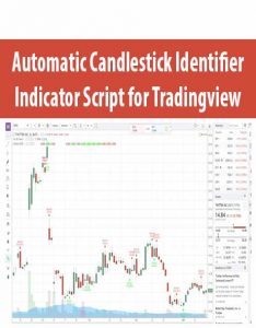 Automatic Candlestick Identifier Indicator Script for Tradingview
