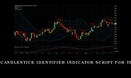 Automatic Candlestick Identifier Indicator Script for Tradingview