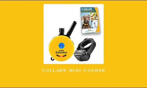 Collars Mini-Course