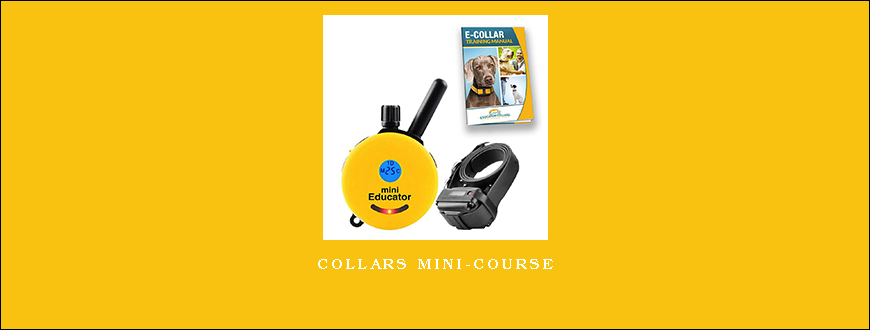 Collars Mini-Course