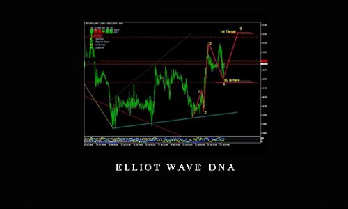Elliot Wave DNA