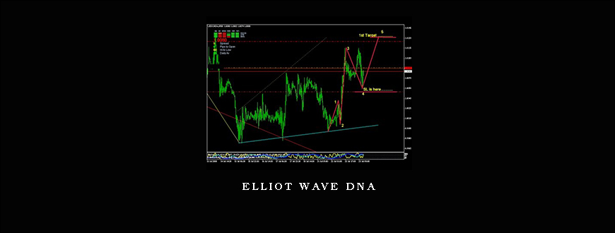 Elliot Wave DNA