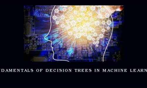 Fundamentals Of Decision Trees In Machine Learning