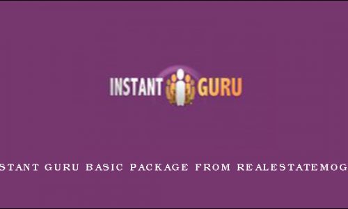 Instant Guru Basic Package from RealEstateMogul