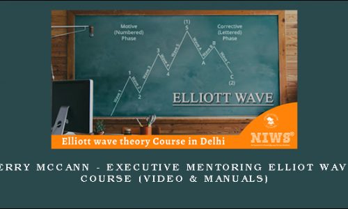 Jerry McCann – Executive Mentoring Elliot Wave Course (Video & Manuals)