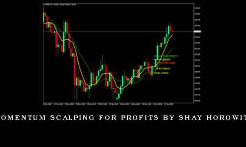 Momentum Scalping for Profits by Shay Horowitz
