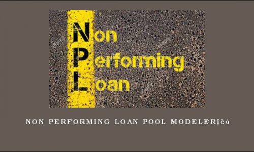 Non Performing Loan Pool Modeler™