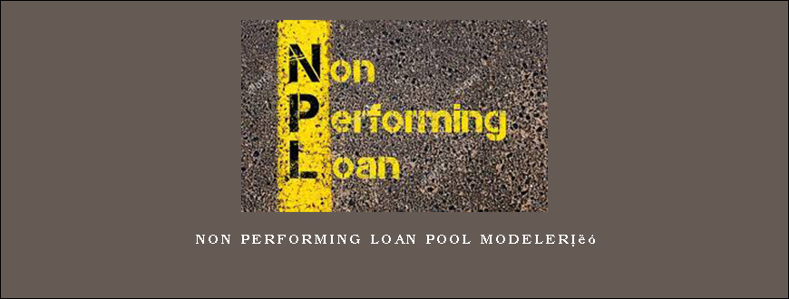 Non Performing Loan Pool Modelerâ„¢