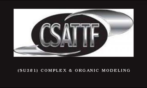 (SU281) Complex & Organic Modeling