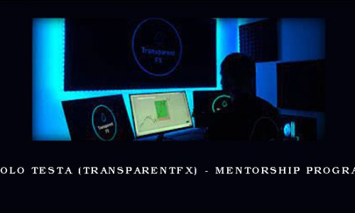 Niccolo Testa (TransparentFX) – Mentorship Programme