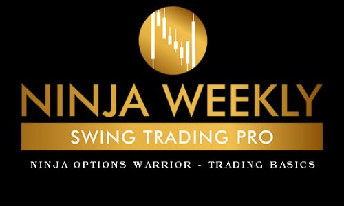 Ninja Options Warrior – TRADING BASICS