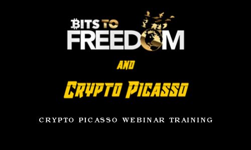 Crypto Picasso Webinar Training