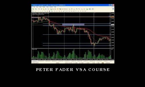Peter Fader VSA Course