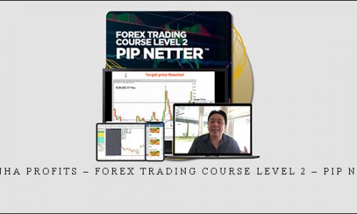 Piranha Profits – Forex Trading Course Level 2 – Pip Netter | SIZE: 2,2 GB