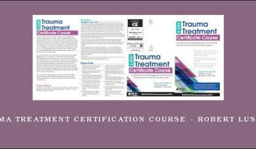 2-Day: Trauma Treatment Certification Course – ROBERT LUSK (Audio CD) [in stock]