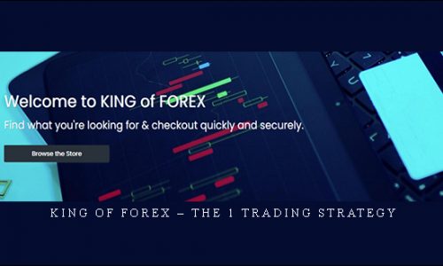 King Of Forex – The 1 Trading Strategy | SIZE: 1,6 GB