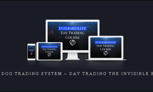 Top Dog Trading System – Day Trading The Invisible Edge | SIZE: 0,6 GB