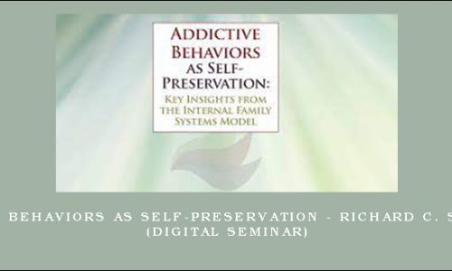 Addictive Behaviors as Self-Preservation – RICHARD C. SCHWARTZ (Digital Seminar) [in stock]