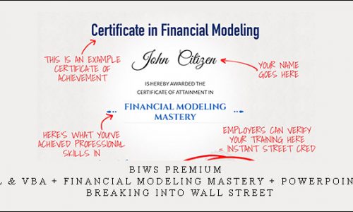 BIWS Premium (Excel & VBA + Financial Modeling Mastery + PowerPoint Pro) – Breaking Into Wall Street [in stock]