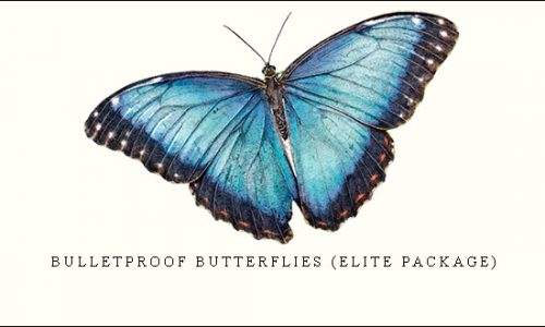Bulletproof Butterflies (Basic Package) – Simplertrading [in stock]