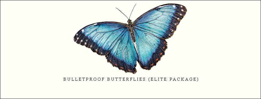 Bulletproof Butterflies (Basic Package) – Simplertrading