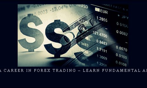 Build A Career In Forex Trading – Learn Fundamental Analysis | SIZE: 183 MB