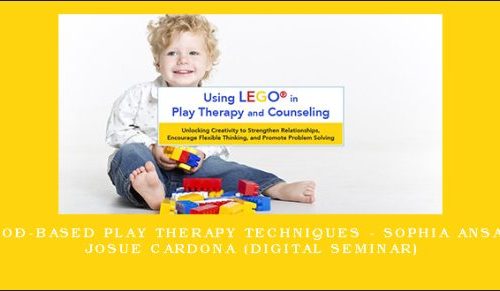 LEGO®-Based Play Therapy Techniques – SOPHIA ANSARI, JOSUE CARDONA (Digital Seminar) [in stock]