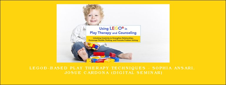 LEGO®-Based Play Therapy Techniques – SOPHIA ANSARI