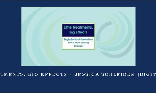 Little Treatments, Big Effects – JESSICA SCHLEIDER (Digital Seminar) [in stock]