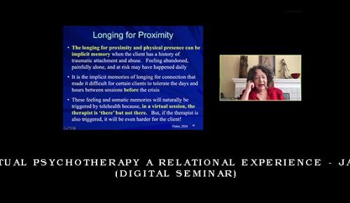 Making Virtual Psychotherapy a Relational Experience – JANINA FISHE (Digital Seminar) [in stock]