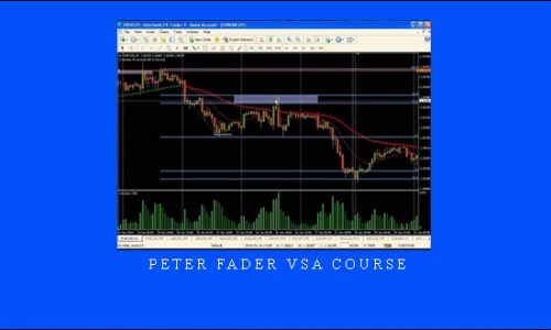 Peter Fader VSA Course | SIZE: 771 MB