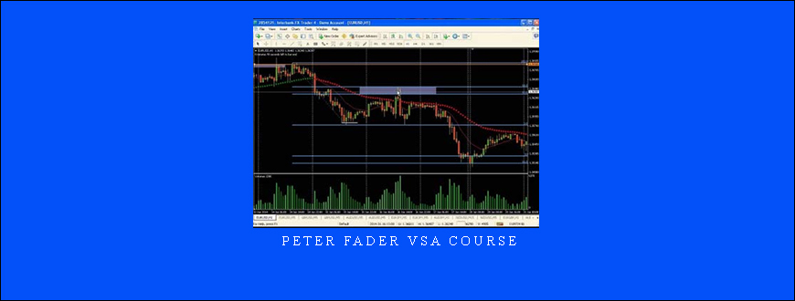 Peter Fader VSA Course