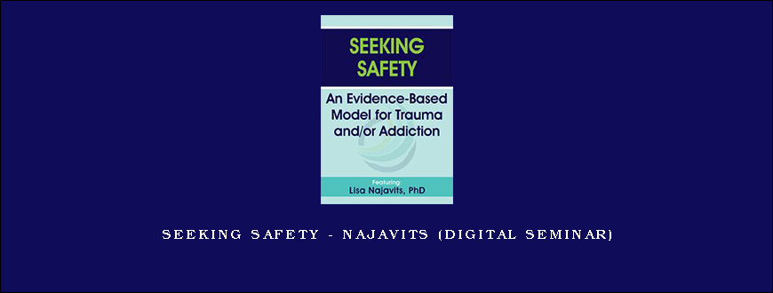 Seeking Safety – NAJAVITS (Digital Seminar)