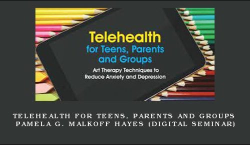 Telehealth for Teens, Parents and Groups – PAMELA G. MALKOFF HAYES (Digital Seminar) |