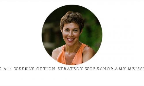 The A14 Weekly Option Strategy Workshop Amy Meissner [in stock]