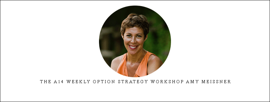The A14 Weekly Option Strategy Workshop Amy Meissner