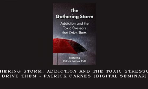 The Gathering Storm: Addiction and the Toxic Stressors that Drive Them – PATRICK CARNES (Digital Seminar) [in stock]
