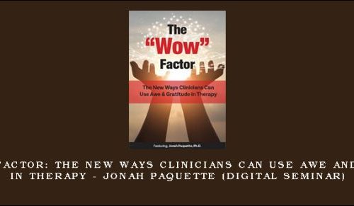 The “Wow” Factor: The New Ways Clinicians Can Use Awe and Gratitude in Therapy – JONAH PAQUETTE (Digital Seminar) [in stock]