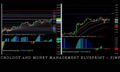 Trading Psychology and Money Management Blueprint – Simpler Trading [in stock]