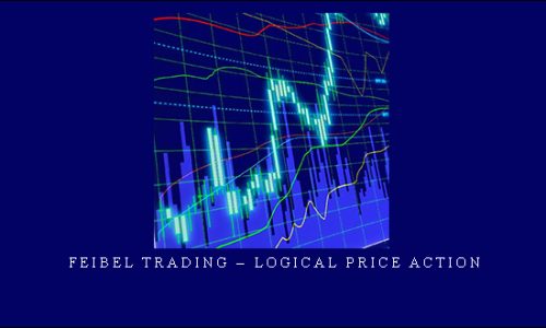 Feibel Trading – Logical Price Action | SIZE: 7 GB