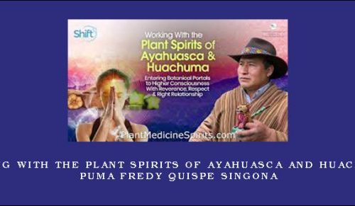 Working With the Plant Spirits of Ayahuasca and Huachuma – Puma Fredy Quispe Singona |