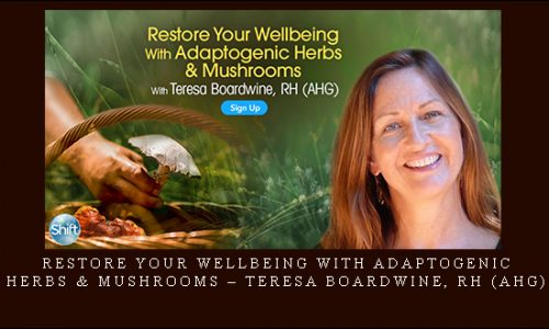 Restore Your Wellbeing With Adaptogenic Herbs & Mushrooms – Teresa Boardwine, RH (AHG) |