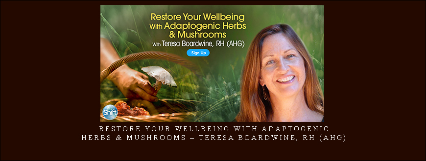 Restore Your Wellbeing With Adaptogenic Herbs & Mushrooms – Teresa Boardwine