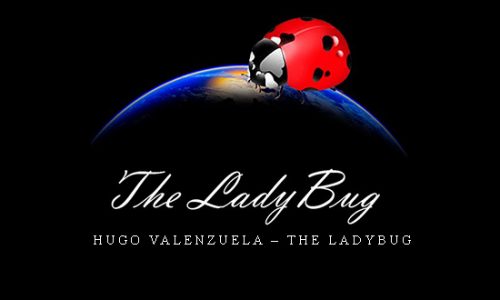 Hugo Valenzuela – The Ladybug |