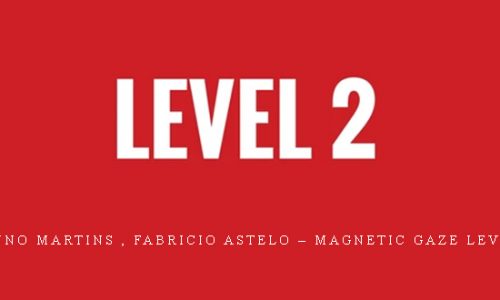 Bruno Martins , Fabricio Astelo – Magnetic Gaze Level 2 |