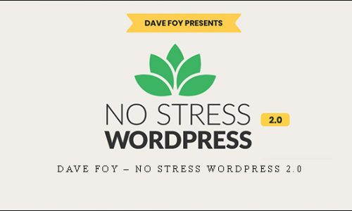 Dave Foy – No Stress WordPress 2.0 |