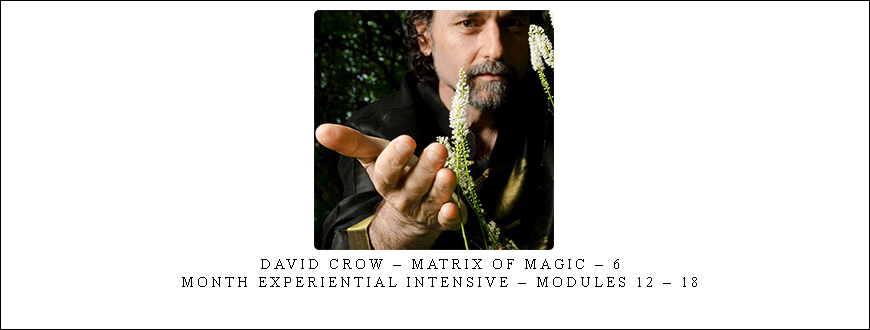 David Crow – Matrix of Magic – 6 – Month Experiential Intensive – Modules 12 – 18