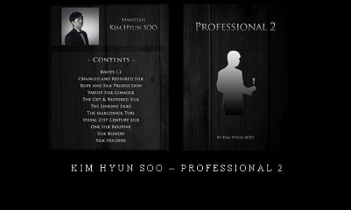 Kim Hyun Soo – Professional 2 |