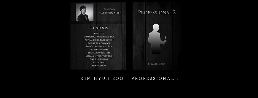 Kim Hyun Soo – Professional 2