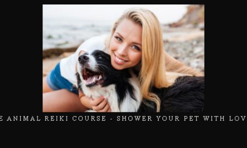 The Complete Animal Reiki Course – Shower Your Pet With Love Pet course |